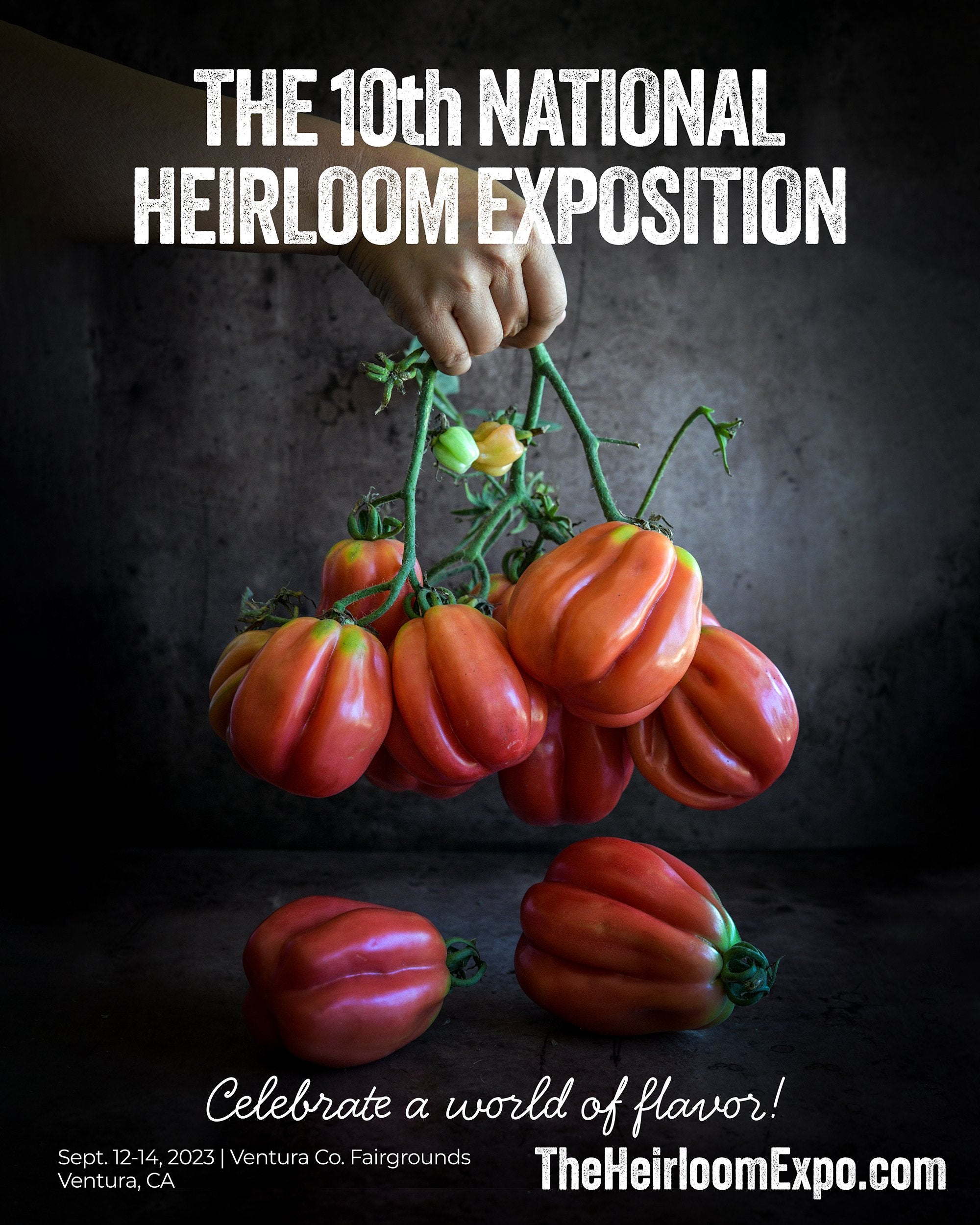 Tomato%2BGezahnte%2BHeirloom%2BExpo%2B4X5%2Bmeme%2BMF%2B%281%29.jpg