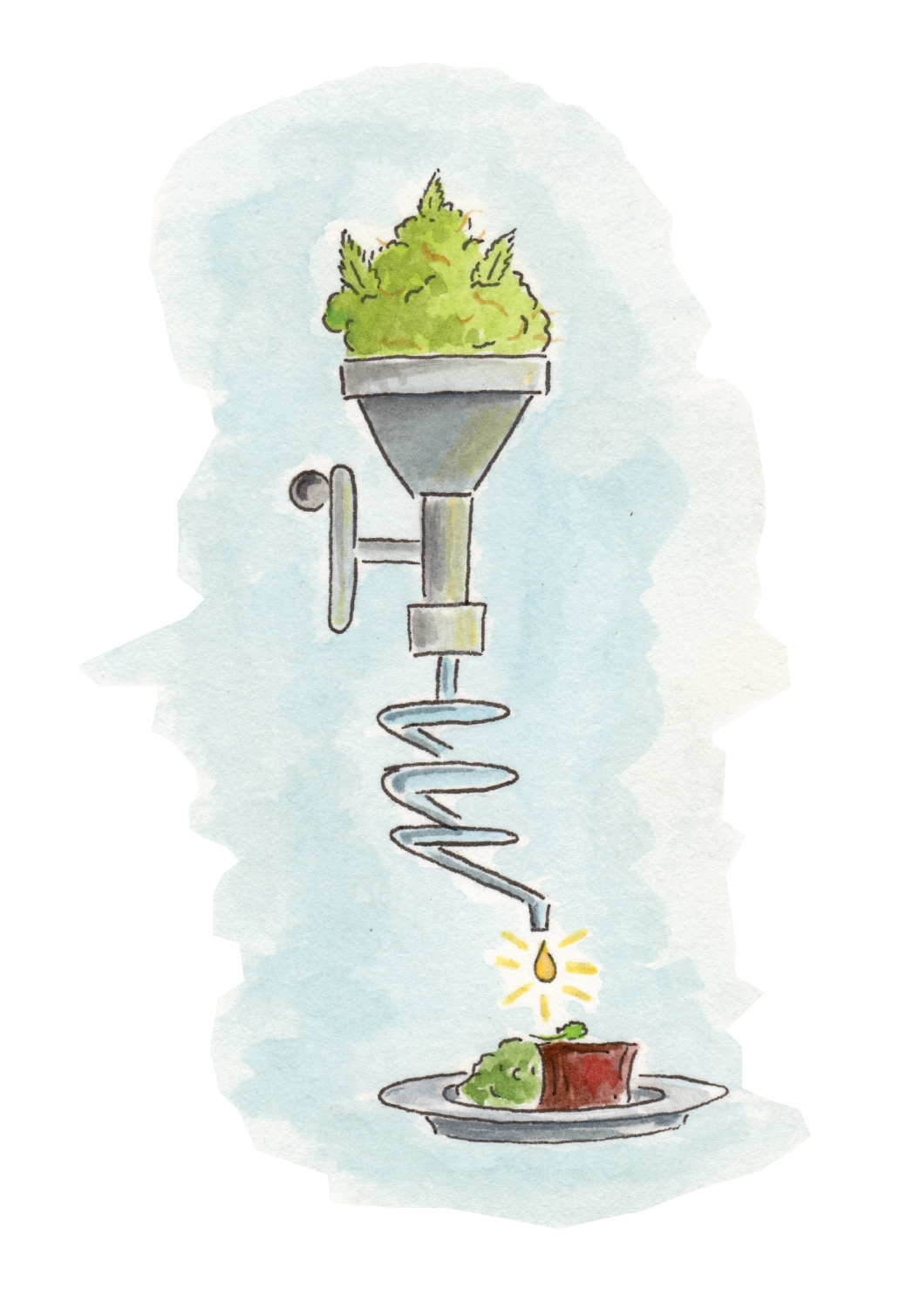 image-asset.png