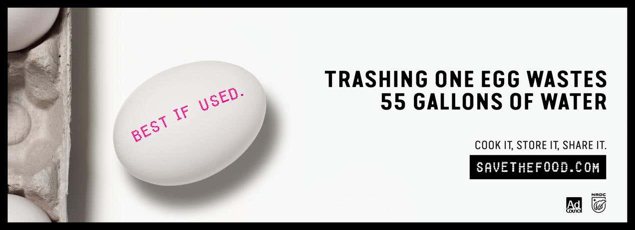 savethefood_pha_825x300px_web_egg.jpg