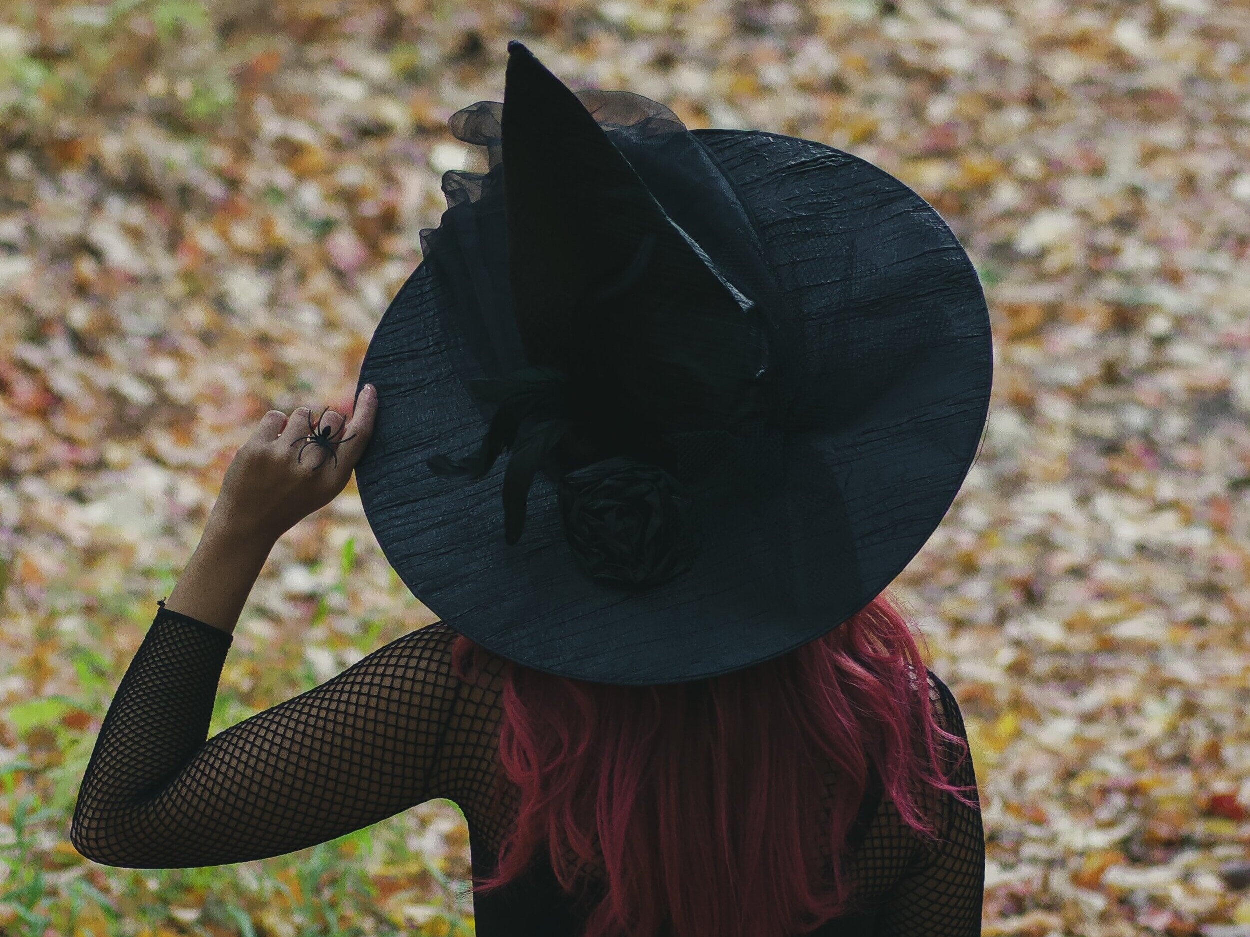 kayla-maurais-R9sNVryhseU-unsplash.jpg