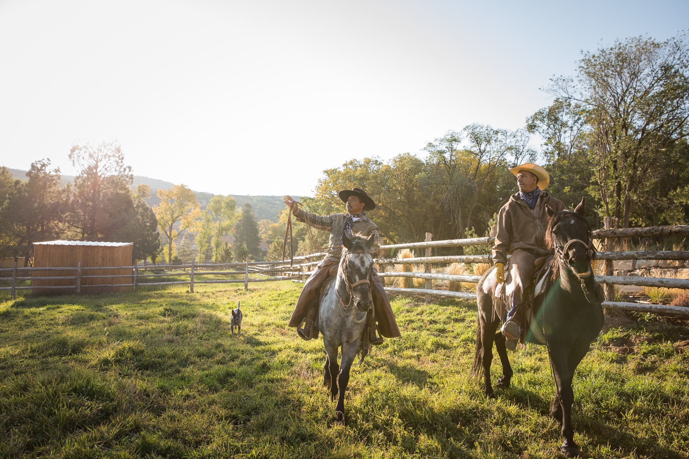 HorsebackRiding_NewPhoto%2B%281%29.jpg