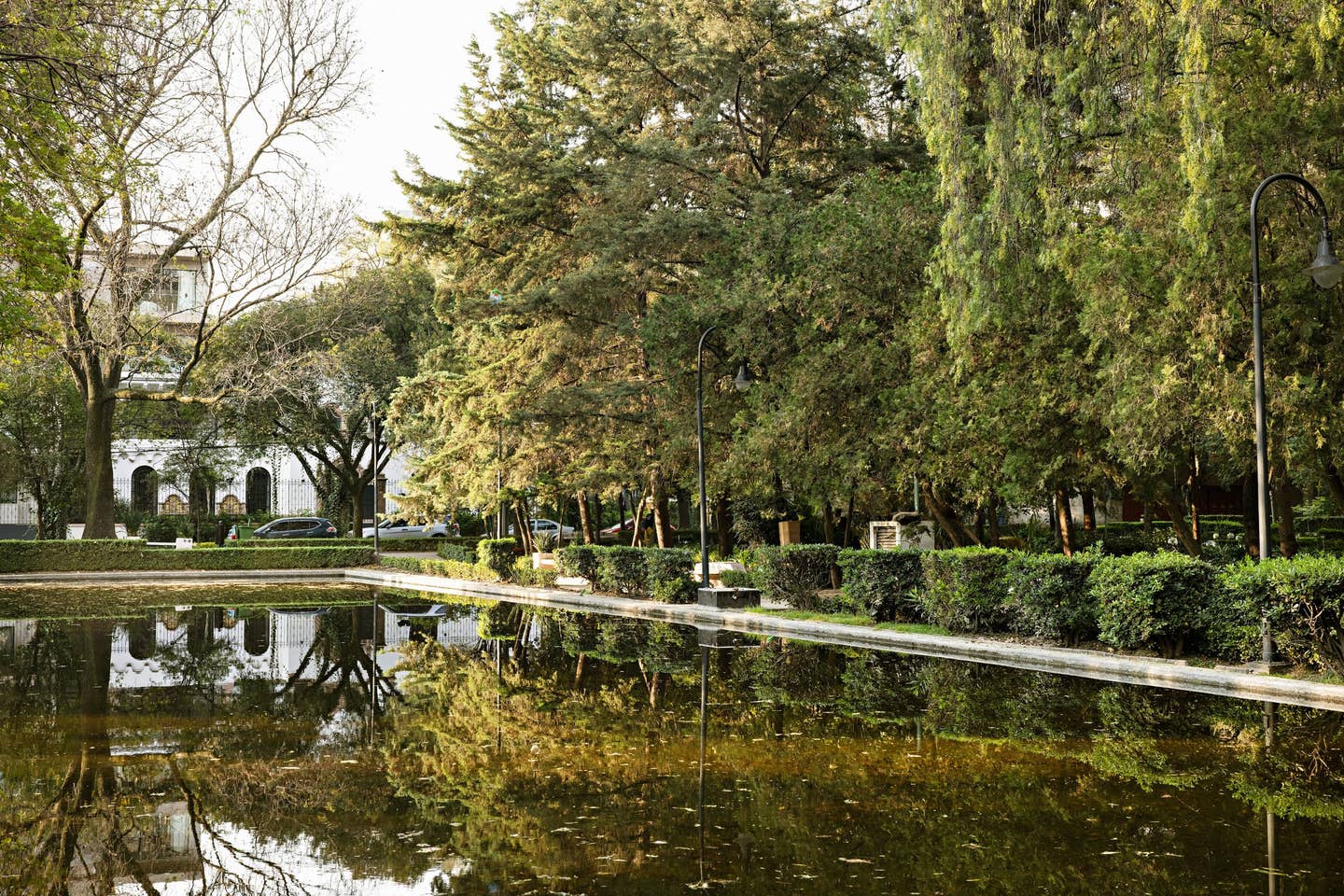 04Parque%2BLincoln%2B-%2BPhotographer_%2BKaryn%2BMillet%2B%281%29.jpg