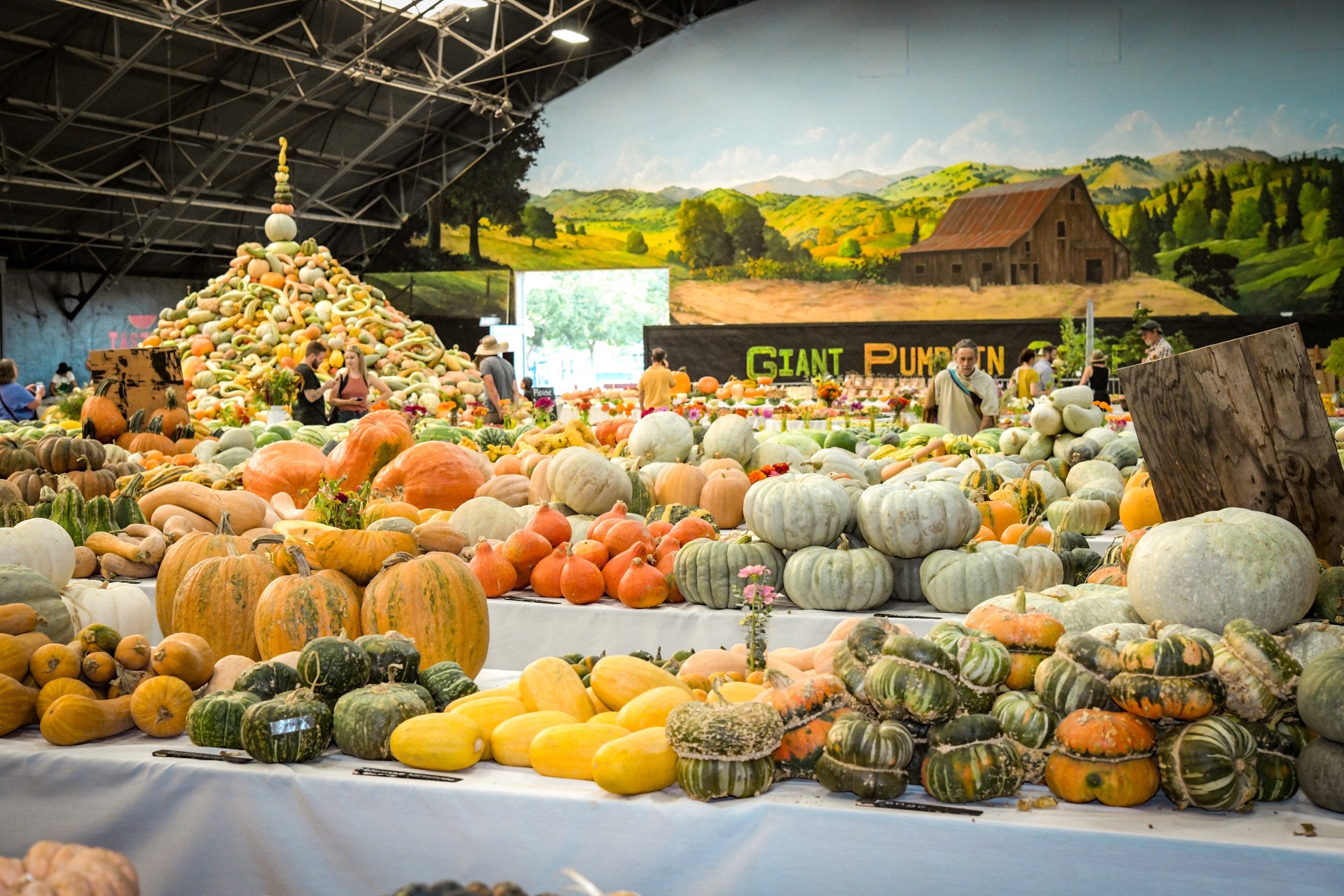 2019%2BHeirloom%2BExpo%2BSquash%2BTower%2BSquash%2BCrowd%2BLSS%2BDSC_1310%2B%282%29%2B%283%29.jpg