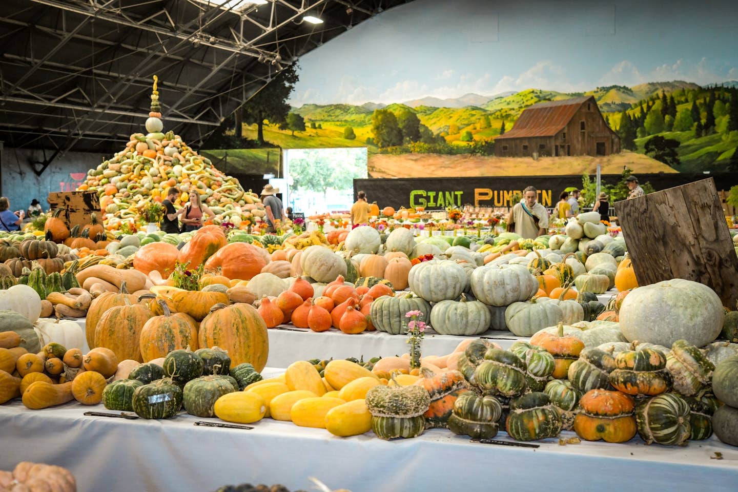 2019%2BHeirloom%2BExpo%2BSquash%2BTower%2BSquash%2BCrowd%2BLSS%2BDSC_1310%2B%282%29%2B%283%29.jpg