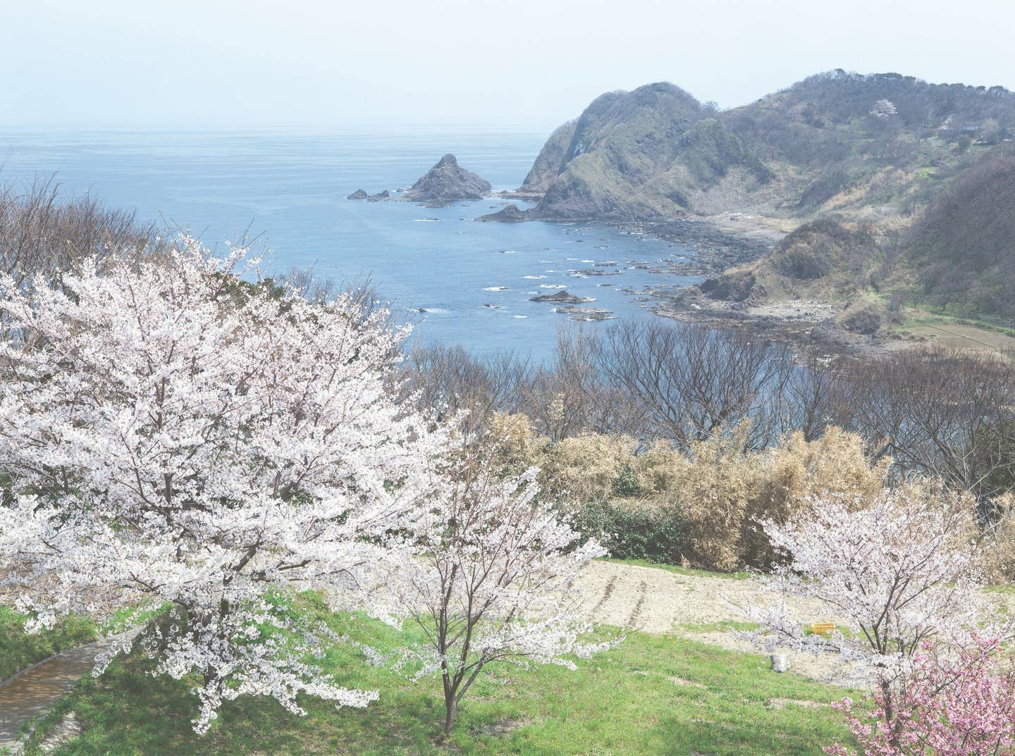 018-9-landscape%2B%281%29.jpg