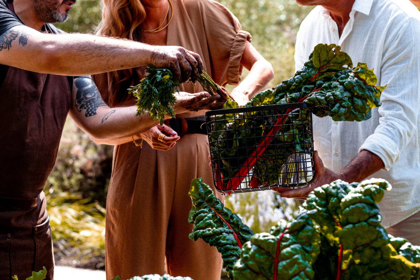 STN_Experience_Garden_2021_0827%2B%281%29.jpg