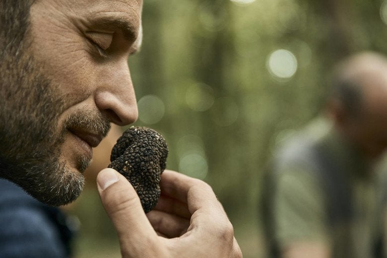 CDN_Truffle%2BHunting_Savouring%2Bthe%2BTruffle_0.jpg